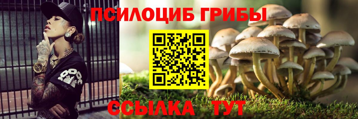 Псилоцибиновые грибы Magic Shrooms Лабинск